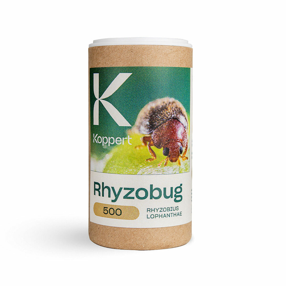 RHIZOBUG Koppert — Rhyzobius lophanthae
