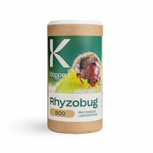 RHIZOBUG Koppert — Rhyzobius lophanthae