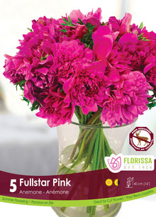 Anémone Fullstar ‘Rose’ (<em>Anemone coronaria</em> ‘Fullstar Pink’)