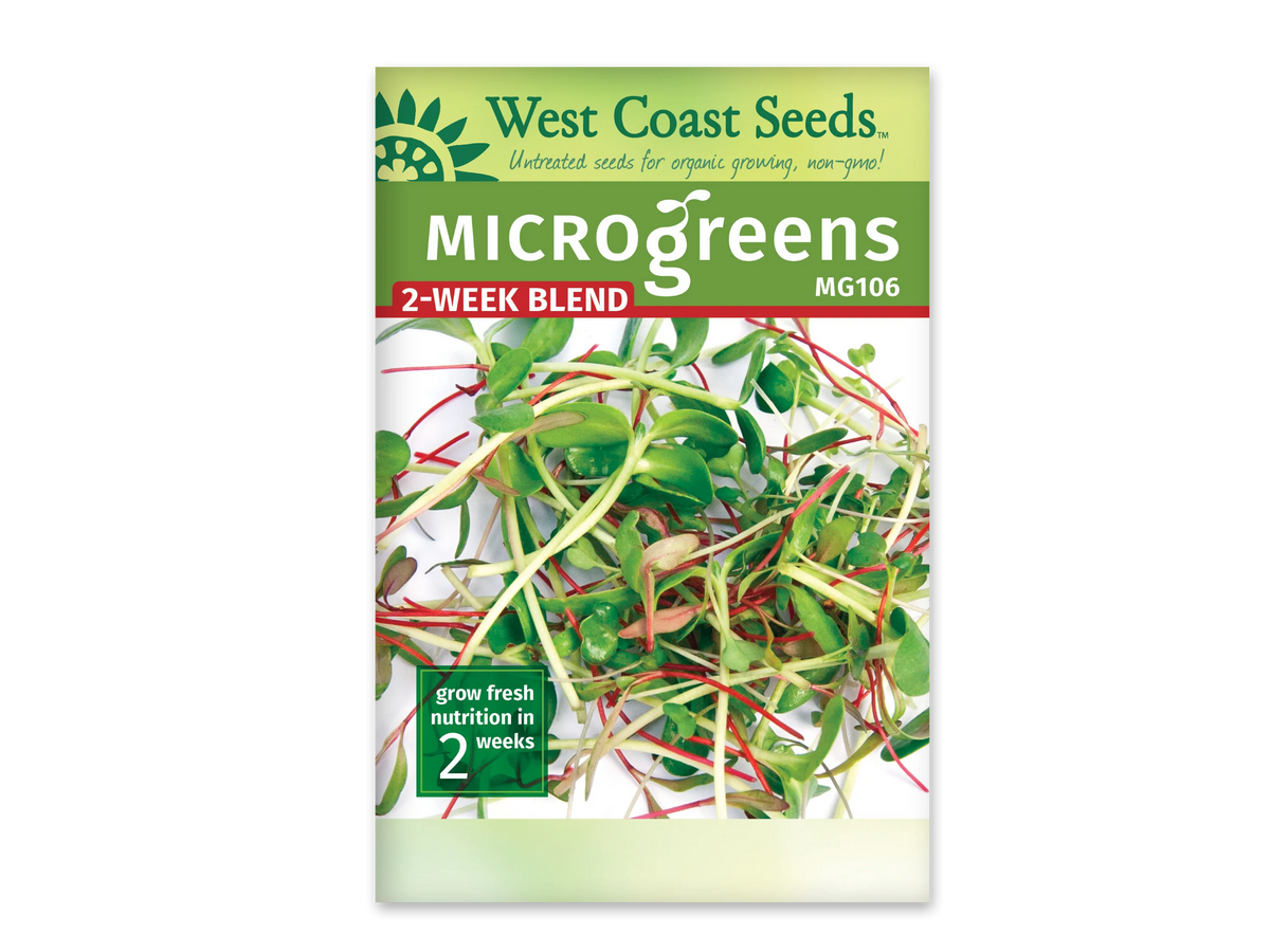 Sachet West Coast Seeds du mélange de micropousses deux semaines, portant la mention 2-Week Blend en blanc sur fond rouge. Sous le bandeau vert, la photo montre des feuilles de formes variées et des tiges pâles ou rouges, entremêlées sur un fond blanc. Le code MG106 apparaît à droite et un encadré vert indique deux semaines.