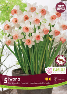 Narcisse ‘Iwona’ ( Narcissus ) : des narcisses blancs à trompette rose pêche cultivés en pot. Le visuel Florissa présente la plante et son nom dans la partie inférieure de l’étiquette. La photographie occupe presque toute la surface, tandis que le bandeau du bas rassemble les indications du produit. Cette vue permet de reconnaître son apparence et de distinguer la variété présentée.
