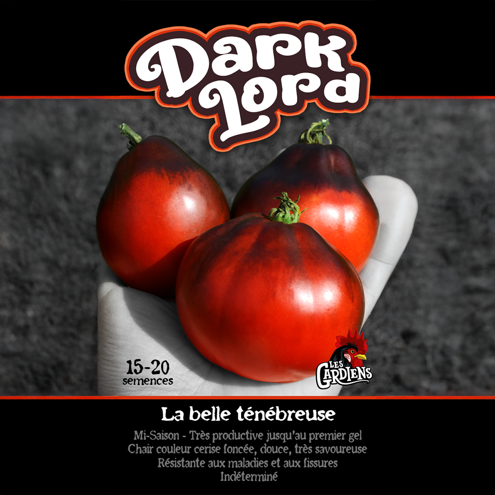 Dark Lord tomato (<em>Solanum lycopersicum</em> ‘Dark Lord’)