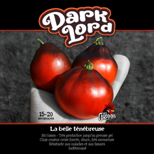 Dark Lord tomato (<em>Solanum lycopersicum</em> ‘Dark Lord’)