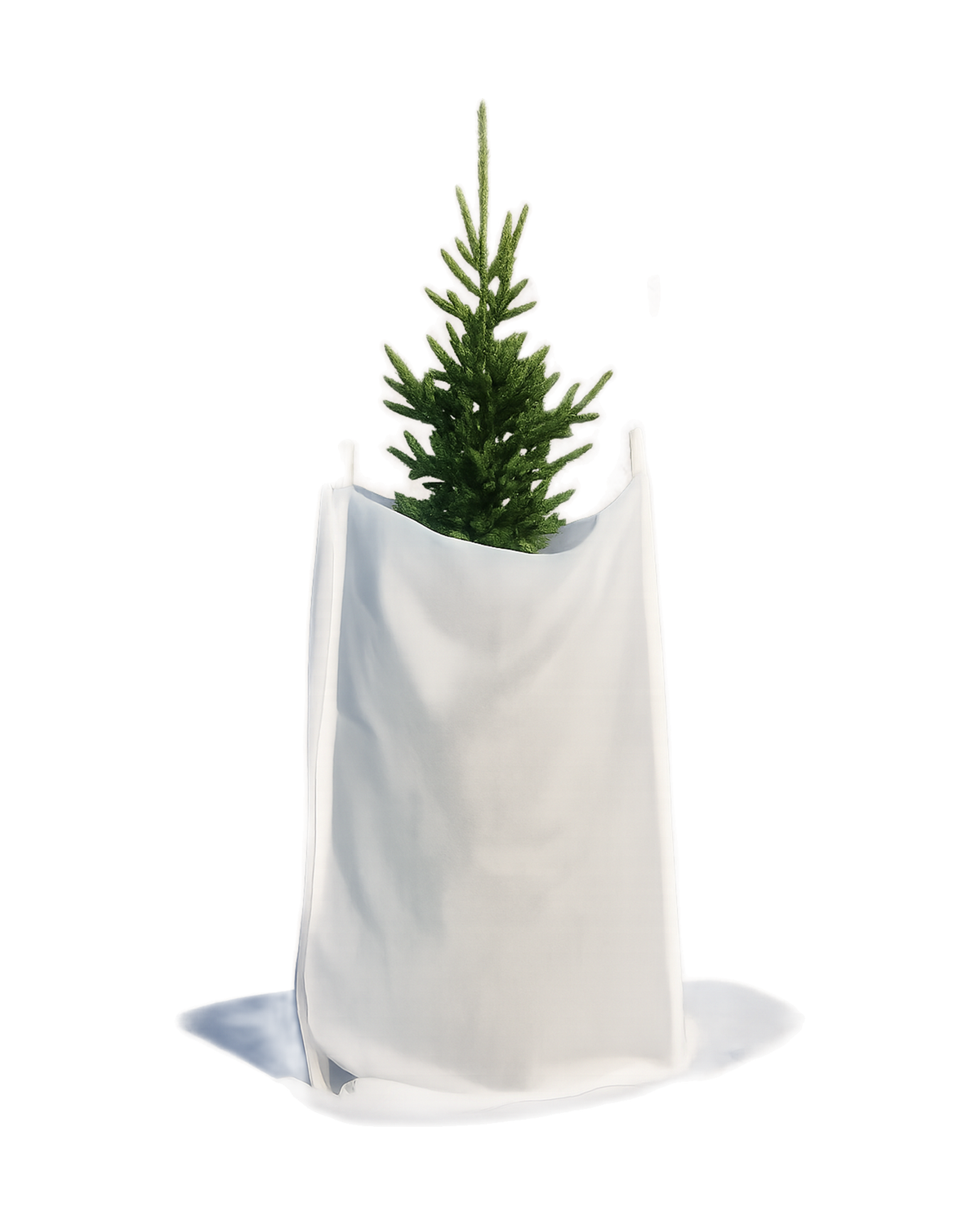 Couverture isolante R20 3 pi x 25 pi — photo sur fond blanc