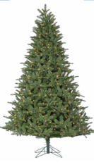 Sapin noble Windsor 9 pi × 67 po
