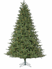 Sapin noble Windsor 7,5 pi × 58 po