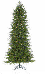 Sapin Crawford 9 pi × 54 po