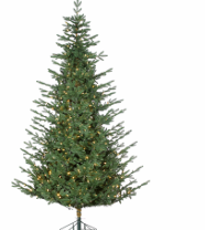 Sapin Flatland 12 pi × 90 po
