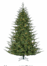 Sapin Fraser Fairfield 9 pi × 72 po – DEC-271977