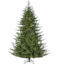 Sapin Fraser Fairfield 7,5 pi × 64 po – DEC-271988