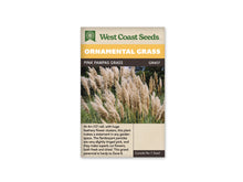 Sachet West Coast Seeds Pink Pampas Grass montrant de hautes panicules plumeuses beige clair et crème. Les longs plumets se dressent au-dessus de feuilles vertes très étroites. Certains sont plus denses et d’autres plus effilés. Un fond de feuillage sombre souligne leurs contours souples; la couleur visible reste pâle, avec une nuance rosée discrète.