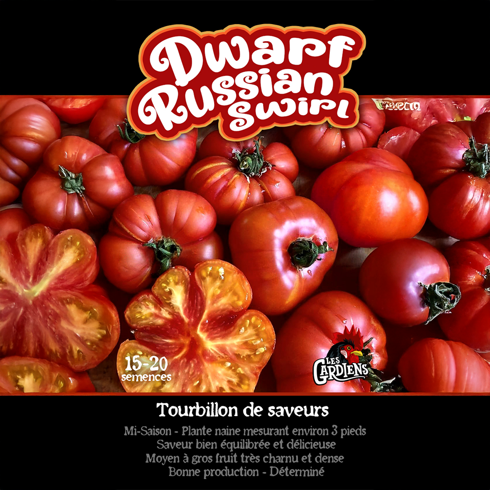 Dwarf Russian Swirl tomato (<em>Solanum lycopersicum</em> ‘Dwarf Russian Swirl’)