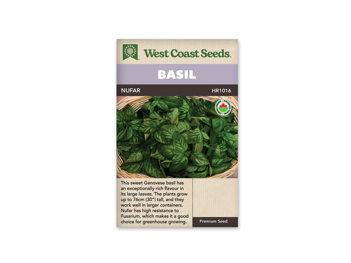 Sachet West Coast Seeds de Basilic ‘Nufar’, présenté de face sur fond blanc. Le sachet montre des feuilles de basilic vert foncé réunies dans un récipient tressé. Leurs surfaces sont larges et nervurées; un petit symbole biologique figure dans le coin supérieur de la photographie. Un bandeau mauve indique BASIL, au-dessus du nom imprimé sur fond foncé. Le bas beige contient un texte descriptif en anglais.