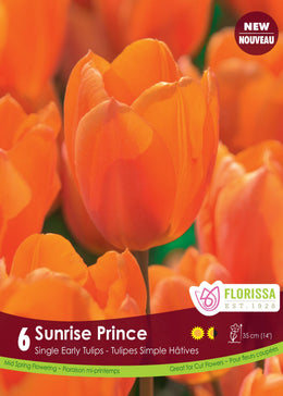 Sunrise Prince tulip