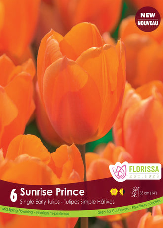 Tulipe Sunrise Prince ( Tulipa ) : des tulipes orange vif aux pétales lisses. Le visuel Florissa présente la plante et son nom dans la partie inférieure de l’étiquette. La photographie occupe presque toute la surface, tandis que le bandeau du bas rassemble les indications du produit. Cette vue permet de reconnaître son apparence et de distinguer la variété présentée.