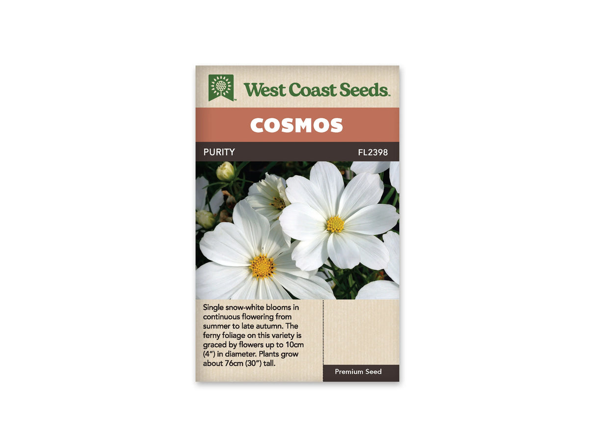 Sachet Purity de West Coast Seeds sur fond blanc. La photo montre de grandes fleurs blanches à pétales larges autour de centres jaunes bien visibles. Quelques boutons et du feuillage vert fin apparaissent entre les fleurs. Le bandeau orangé porte le mot Cosmos; Purity et la référence FL2398 se lisent dans la bande brune au-dessus de la photo.