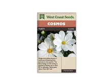 Sachet Purity de West Coast Seeds sur fond blanc. La photo montre de grandes fleurs blanches à pétales larges autour de centres jaunes bien visibles. Quelques boutons et du feuillage vert fin apparaissent entre les fleurs. Le bandeau orangé porte le mot Cosmos; Purity et la référence FL2398 se lisent dans la bande brune au-dessus de la photo.
