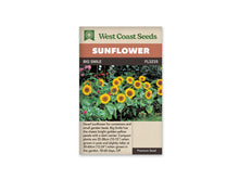 Sachet beige de semences Big Smile avec bandeau terre cuite et nom sur fond brun. Un groupe de petits tournesols jaunes à centre brun pousse au premier plan d'une bordure. Les fleurs sont portées à différentes hauteurs au-dessus de larges feuilles vertes. Des fleurs roses et rouges ainsi qu'une végétation plus sombre occupent le fond du jardin.