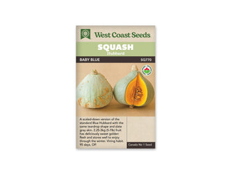 Sachet beige de semences Baby Blue avec bandeau vert pâle, nom sur fond brun et mention biologique. La photographie montre deux courges bleu gris en forme de poire sur une surface brun clair. Le fruit entier de gauche porte quelques marques beige pâle. Celui de droite présente une ouverture révélant une chair orange et une cavité remplie de graines.