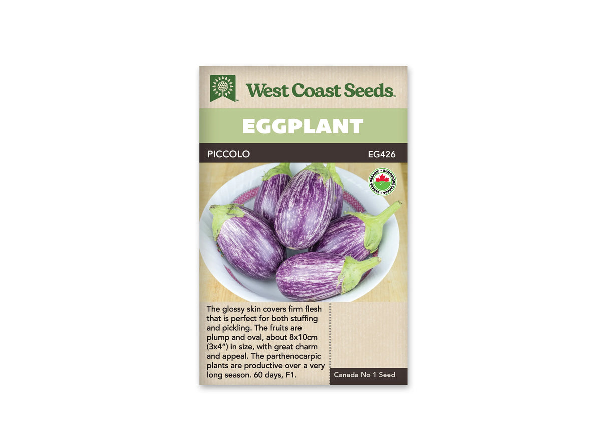 Sachet Piccolo de West Coast Seeds avec une bande vert pâle et le nom sur fond sombre. La photo montre plusieurs petites aubergines ovales, striées de violet et de blanc, dans une assiette claire. Leurs calices sont verts. Un logo biologique apparaît à droite; une zone beige avec du texte occupe le bas.
