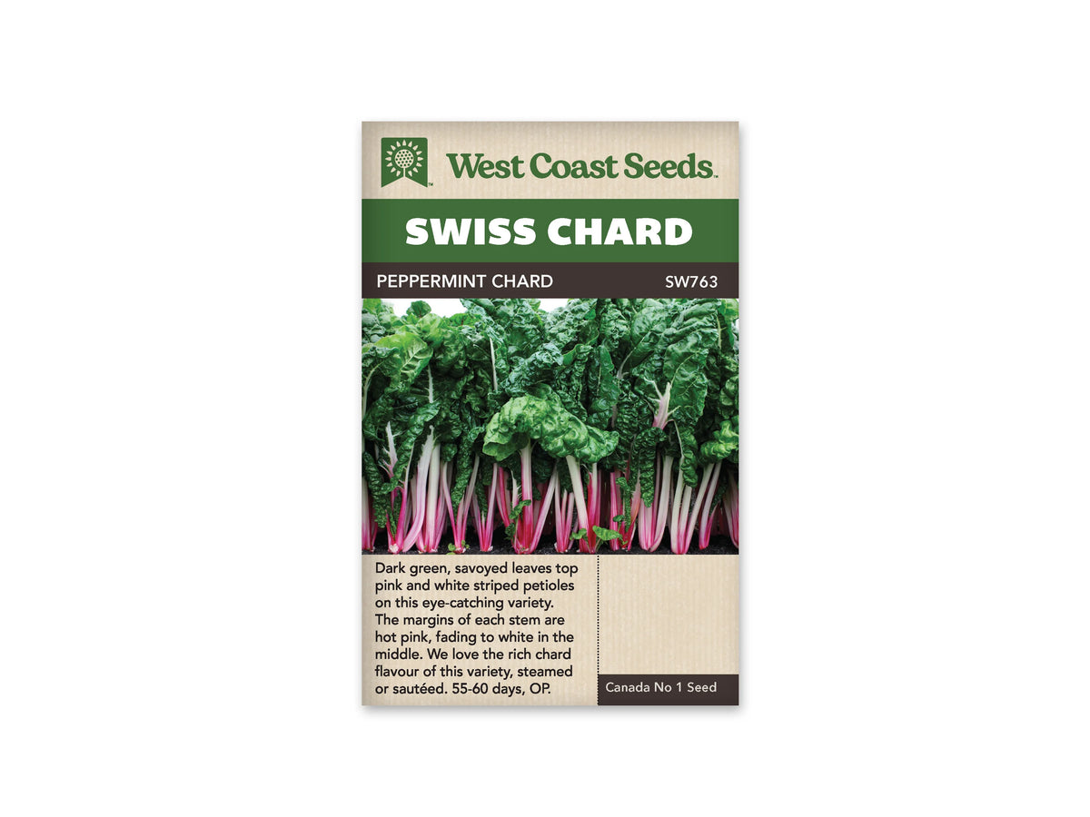 Sachet West Coast Seeds Peppermint Chard montrant une rangée de bettes aux longues cardes roses et blanches. Les pétioles sont groupés sous de grandes feuilles vert foncé gaufrées. Leurs bases apparaissent au niveau de la terre. Le nom Peppermint Chard est inscrit dans le bandeau brun, sous le titre Swiss Chard blanc sur fond vert.
