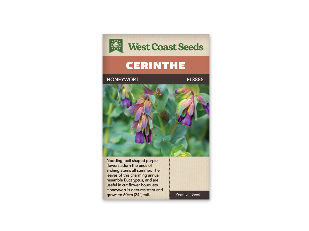 Sachet Honeywort de West Coast Seeds sur fond blanc. La photo montre des fleurs pourpres pendantes, entourées de feuilles modifiées aux tons verts, bleutés et rosés. Le feuillage arrondi apparaît en arrière-plan. Le bandeau orangé indique Cerinthe et le nom Honeywort se lit dans la bande brune, près de la référence FL3885.