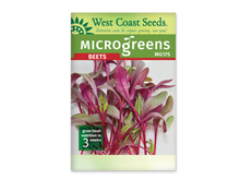 Sachet de semences pour micropousses de betterave West Coast Seeds, vu de face. Un haut vert présente la marque, le mot Microgreens et la référence MG175, suivi du bandeau rouge Beets. La photographie centrale montre des tiges magenta et des feuilles allongées mêlant vert et pourpre. Un encadré vert dans le coin inférieur gauche indique une culture de trois semaines.