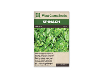 Sachet West Coast Seeds Seaside montrant une culture dense de jeunes feuilles d’épinard vertes. Les feuilles ovales se chevauchent, avec des nervures visibles et des reflets clairs à leur surface. Le nom Seaside est inscrit dans le bandeau brun, sous le grand titre Spinach blanc sur fond vert en haut du sachet.