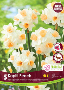 Narcisse Kapiti Peach