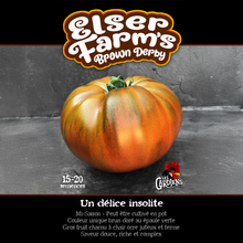 Elser Farm’s Brown Derby tomato (<em>Solanum lycopersicum</em> ‘Elser Farm’s Brown Derby’)