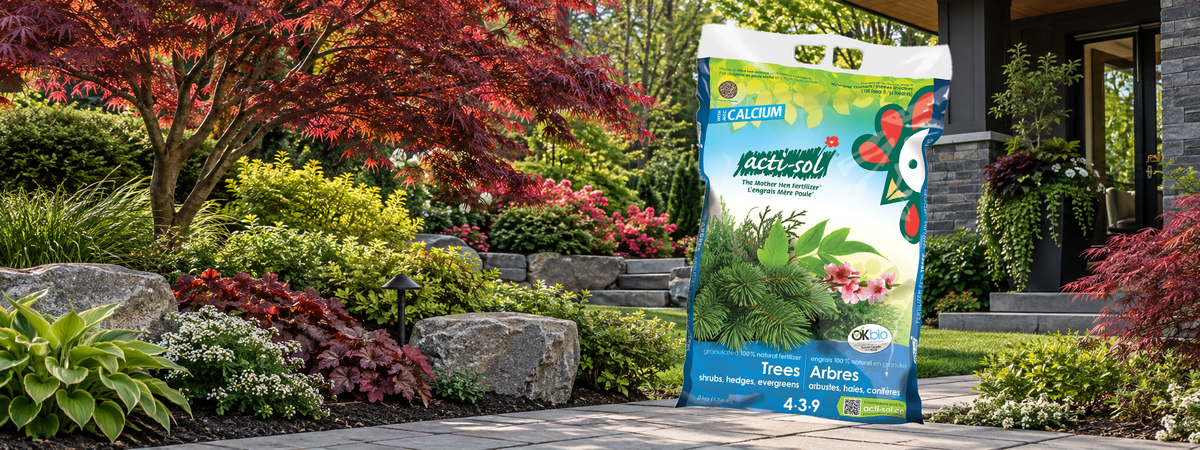 Engrais naturel Acti-Sol 4-3-9 pour arbres, arbustes, haies et conifères en promotion cet automne
