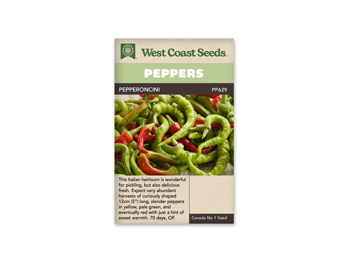 Sachet West Coast Seeds de piment Pepperoncini, avec bandeau vert et nom de la variété sur une ligne foncée. La photo montre un tas de petits fruits allongés, courbés et parfois tordus. La plupart sont vert clair, avec quelques fruits rouges entre eux. Un bloc de texte occupe le bas beige du sachet.