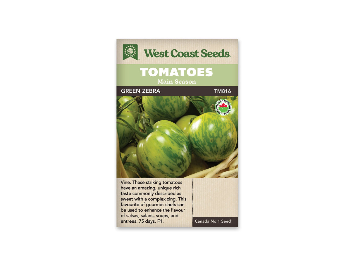 Sachet West Coast Seeds avec les mentions Tomatoes, Main Season et Green Zebra. La photo montre plusieurs tomates rondes vertes et jaunes, marquées de rayures vert foncé, dans un panier clair. Un logo biologique rond apparaît à droite. La bande sombre porte le nom de la variété, sous les bandeaux verts de la marque.