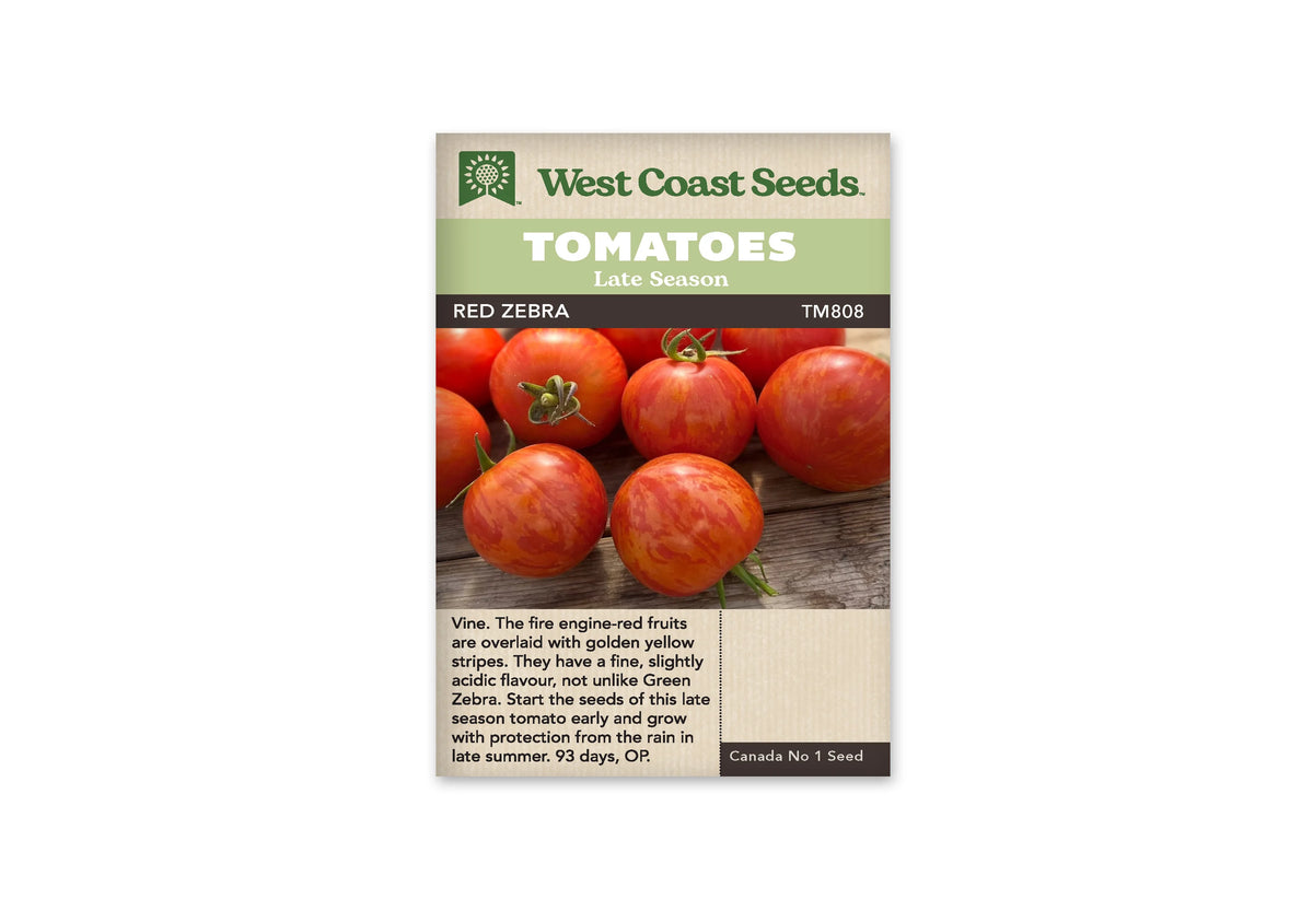 Sachet West Coast Seeds avec les mentions Tomatoes, Late Season et Red Zebra. La photo montre des tomates rondes rouges rayées de jaune orangé, posées sur des planches de bois. Certains fruits gardent un calice vert. Le nom de la variété et le code TM808 figurent sur une bande sombre sous les bandeaux verts.