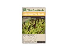 Sachet West Coast Seeds Jade Princess montrant des touffes aux longues feuilles jaune-vert vif. De gros épis brun foncé se dressent et se courbent au-dessus du feuillage. Les feuilles forment des arches vers le sol. La photo présente plusieurs plantes dans une parcelle, avec de la terre visible entre les touffes lumineuses.