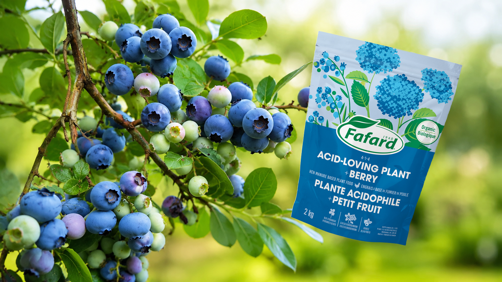 Acidifiant Fafard pour plantes acidophiles