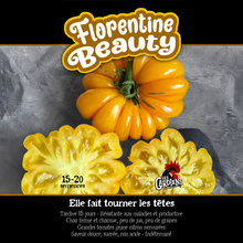 Florentine Beauty tomato (<em>Solanum lycopersicum</em> ‘Florentine Beauty’)