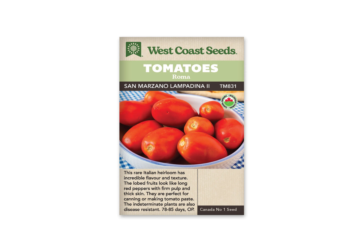 Sachet West Coast Seeds portant les mentions Tomatoes, Roma et San Marzano Lampadina II. La photo montre des tomates rouges allongées réunies dans un bol clair sur un tissu bleu et blanc. Plusieurs fruits présentent un petit bout pointu. Un logo biologique rond apparaît à droite. Le code TM831 figure sous les bandeaux verts.