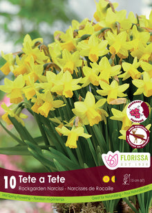 Narcisse ‘Tête-à-Tête’ ( Narcissus ) : des petits narcisses jaunes regroupés dans un massif. Le visuel Florissa présente la plante et son nom dans la partie inférieure de l’étiquette. La photographie occupe presque toute la surface, tandis que le bandeau du bas rassemble les indications du produit. Cette vue permet de reconnaître son apparence et de distinguer la variété présentée.