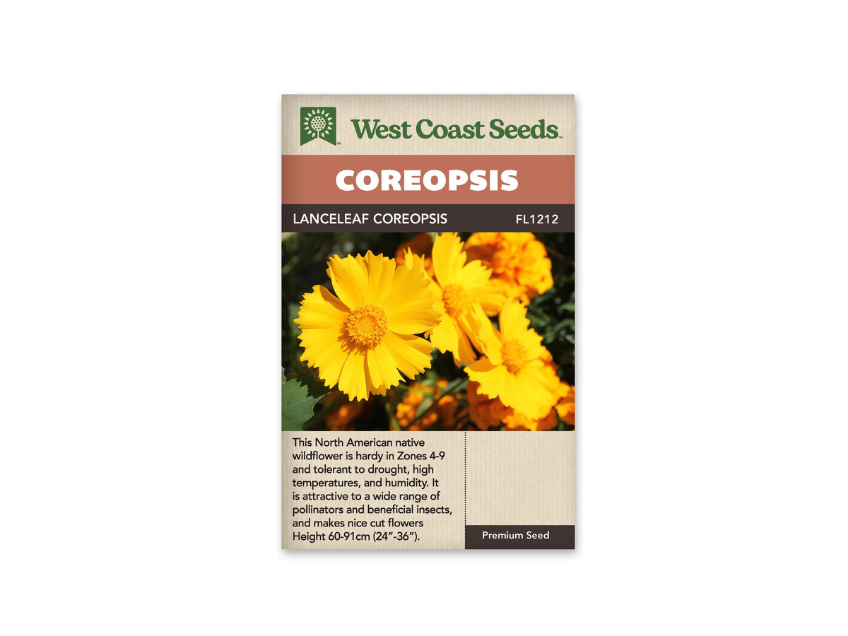 Sachet Lanceleaf Coreopsis de West Coast Seeds sur fond blanc. La photo montre de nombreuses fleurs jaune doré aux pétales larges et découpés, autour de centres jaune orangé. Des tiges et des feuilles vertes se détachent sur un fond sombre. Le bandeau orangé indique Coreopsis; Lanceleaf et la référence FL1212 se lisent dans la bande brune.