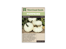 Sachet Moon Cake de West Coast Seeds avec un bandeau vert pâle et le nom sur fond sombre. Plusieurs citrouilles blanches aplaties, à côtes fines et à longs pédoncules verts, sont regroupées sur une terre sèche. Des feuilles vertes et brunies apparaissent autour des fruits. Sous la photo, une zone beige porte du texte.