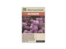 Sachet d’alysse Dwarf Purple de West Coast Seeds sur fond blanc. La photographie montre de petites fleurs mauves et violet clair en grappes serrées, avec des centres pâles et du feuillage vert. Le bandeau Alyssum surmonte le nom commercial et la référence FL3838. La partie inférieure beige porte un texte descriptif en anglais.