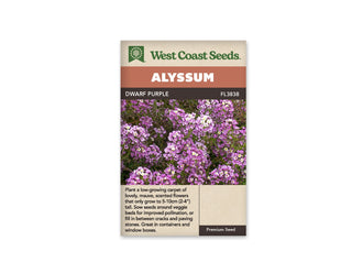 Sachet d’alysse Dwarf Purple de West Coast Seeds sur fond blanc. La photographie montre de petites fleurs mauves et violet clair en grappes serrées, avec des centres pâles et du feuillage vert. Le bandeau Alyssum surmonte le nom commercial et la référence FL3838. La partie inférieure beige porte un texte descriptif en anglais.
