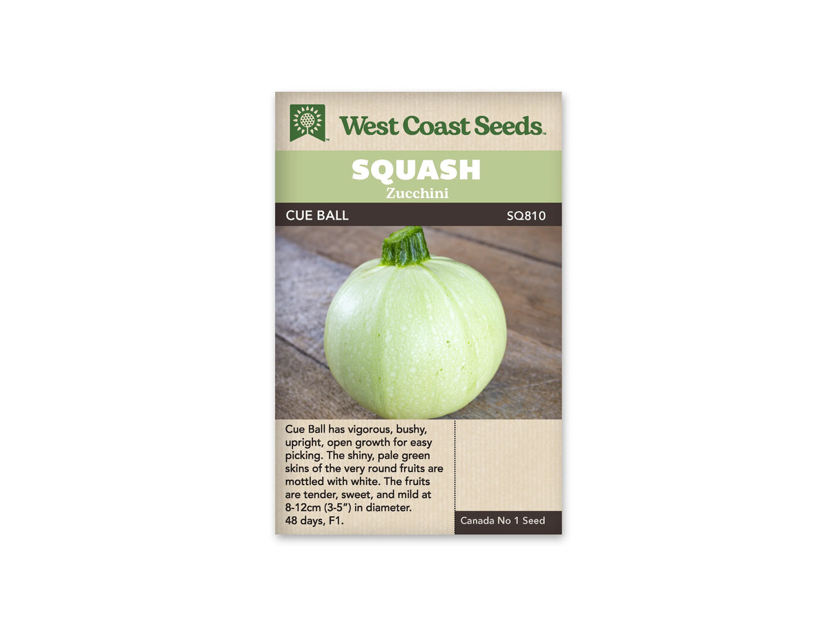 Sachet beige de semences Cue Ball avec un bandeau vert pâle et le nom sur fond brun. La photographie montre une courgette presque sphérique vert très pâle, marbrée de petites taches blanches. Son pédoncule vert foncé est dressé vers le haut. Le fruit repose sur une planche en bois brun, au-dessus du texte descriptif anglais.