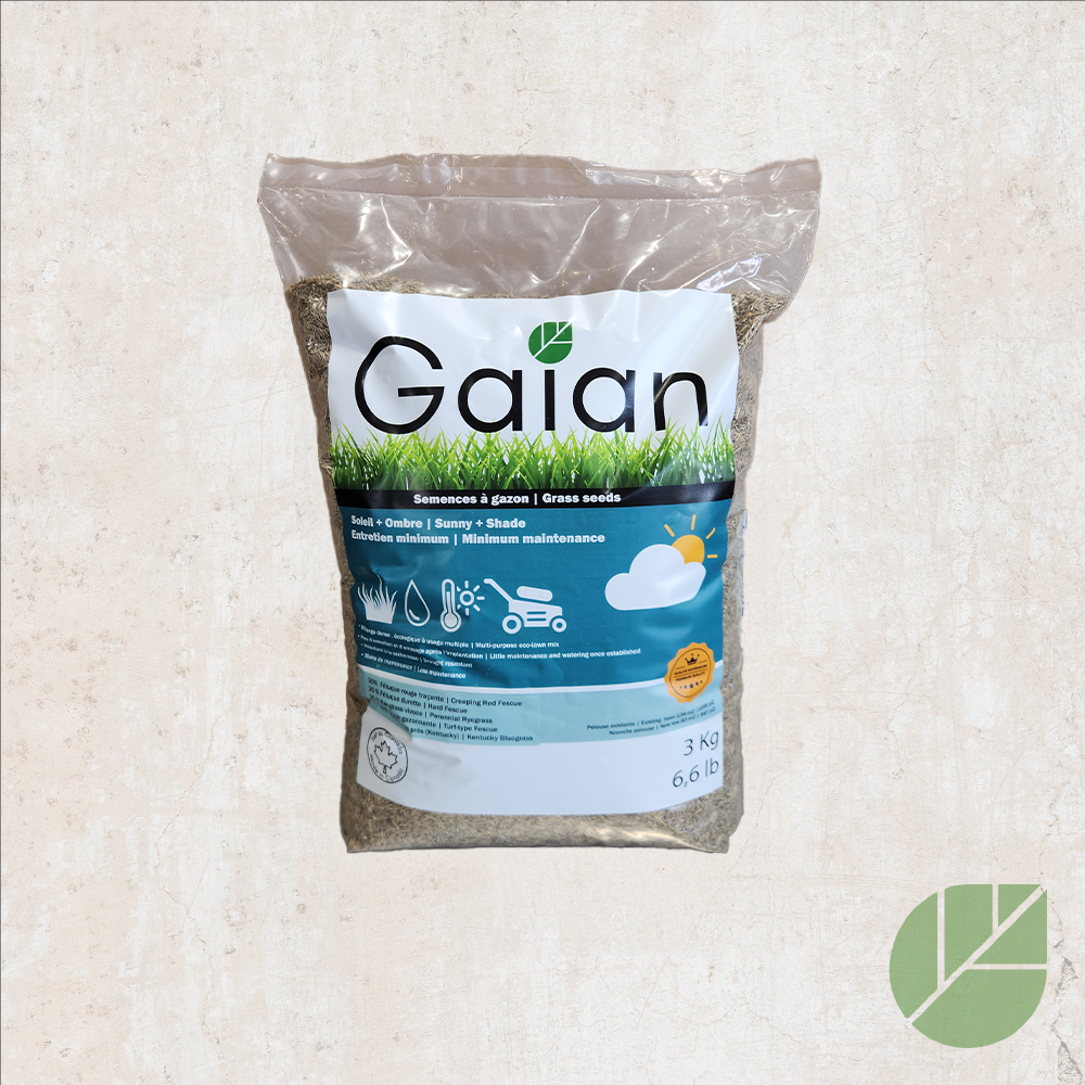 Gaian Low Maintenance Grass Seeds