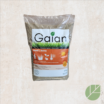 Semences à gazon Soleil Gaian