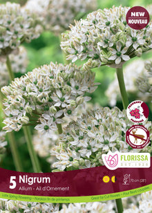 Ail ornemental nigrum ( Allium nigrum ) : des bouquets d’alliums blancs aux petits centres verdâtres. Le visuel Florissa présente la plante et son nom dans la partie inférieure de l’étiquette. La photographie occupe presque toute la surface, tandis que le bandeau du bas rassemble les indications du produit. Cette vue permet de reconnaître son apparence et de distinguer la variété présentée.