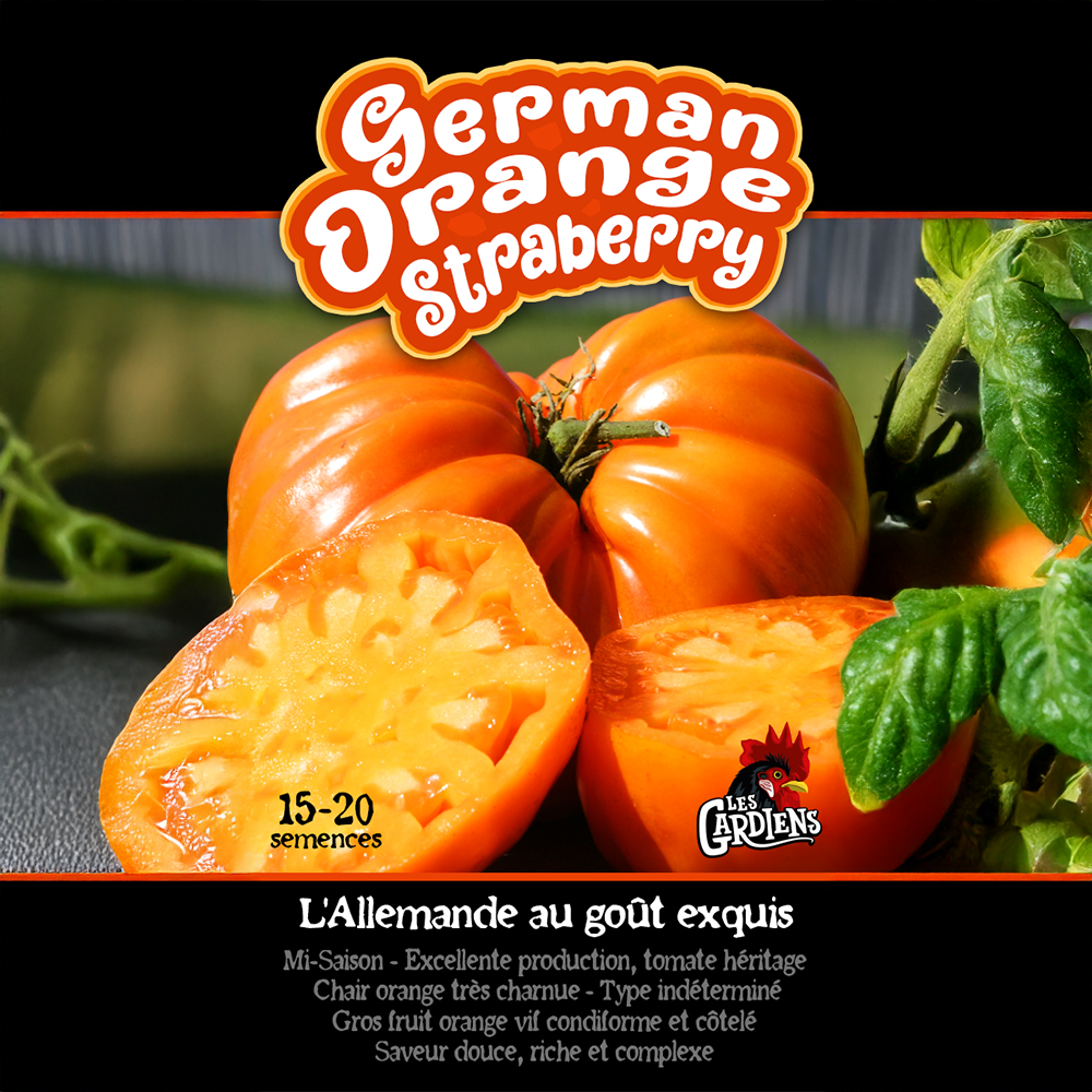 German Orange Strawberry tomato (<em>Solanum lycopersicum</em> ‘German Orange Strawberry’)