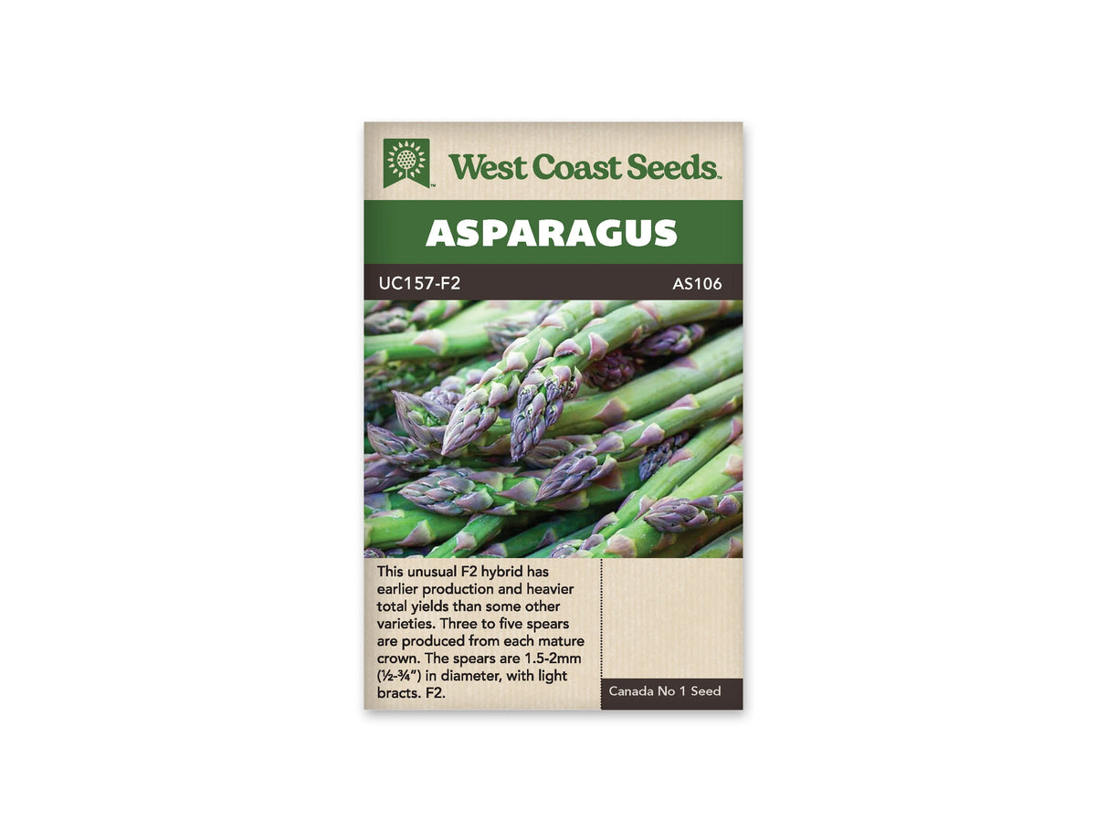 Sachet de semences d’asperge UC157 F2 de West Coast Seeds, présenté de face sur fond blanc. Le nom de la sélection et la référence AS106 apparaissent sous le bandeau vert Asparagus. La photographie montre plusieurs turions verts disposés en diagonale, avec des pointes serrées aux nuances pourpres. Des renseignements de culture en anglais sont imprimés dans la partie beige inférieure de l’emballage.