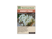Sachet West Coast Seeds Royal Family White avec des fleurs blanches de pois de senteur posées dans un panier tressé. Les pétales clairs se chevauchent et montrent de légers plis. Quelques boutons et petites tiges vertes apparaissent entre les corolles. La texture brune du panier forme un contraste doux derrière le groupe de fleurs.